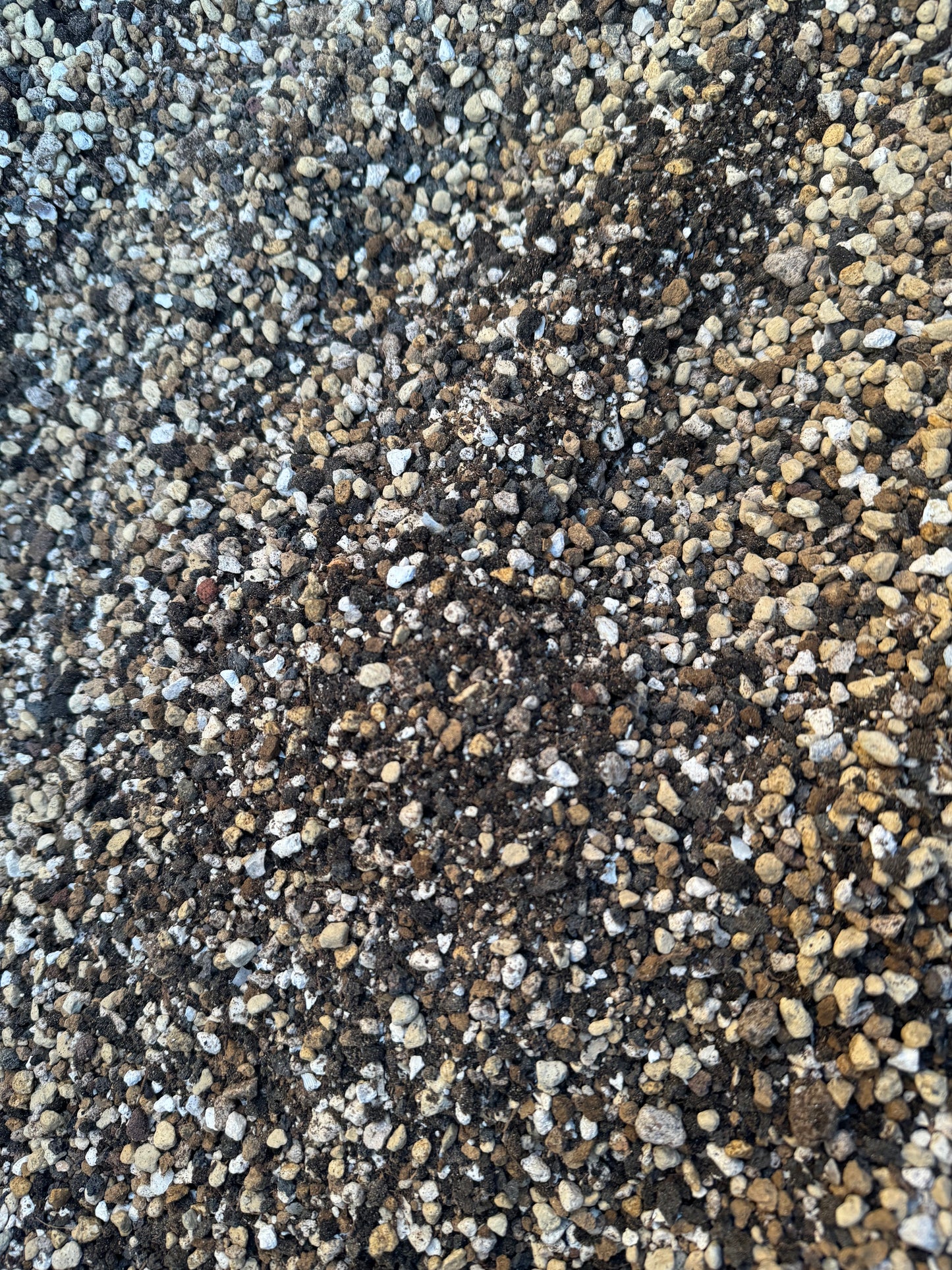 Desert Sediment 2.0