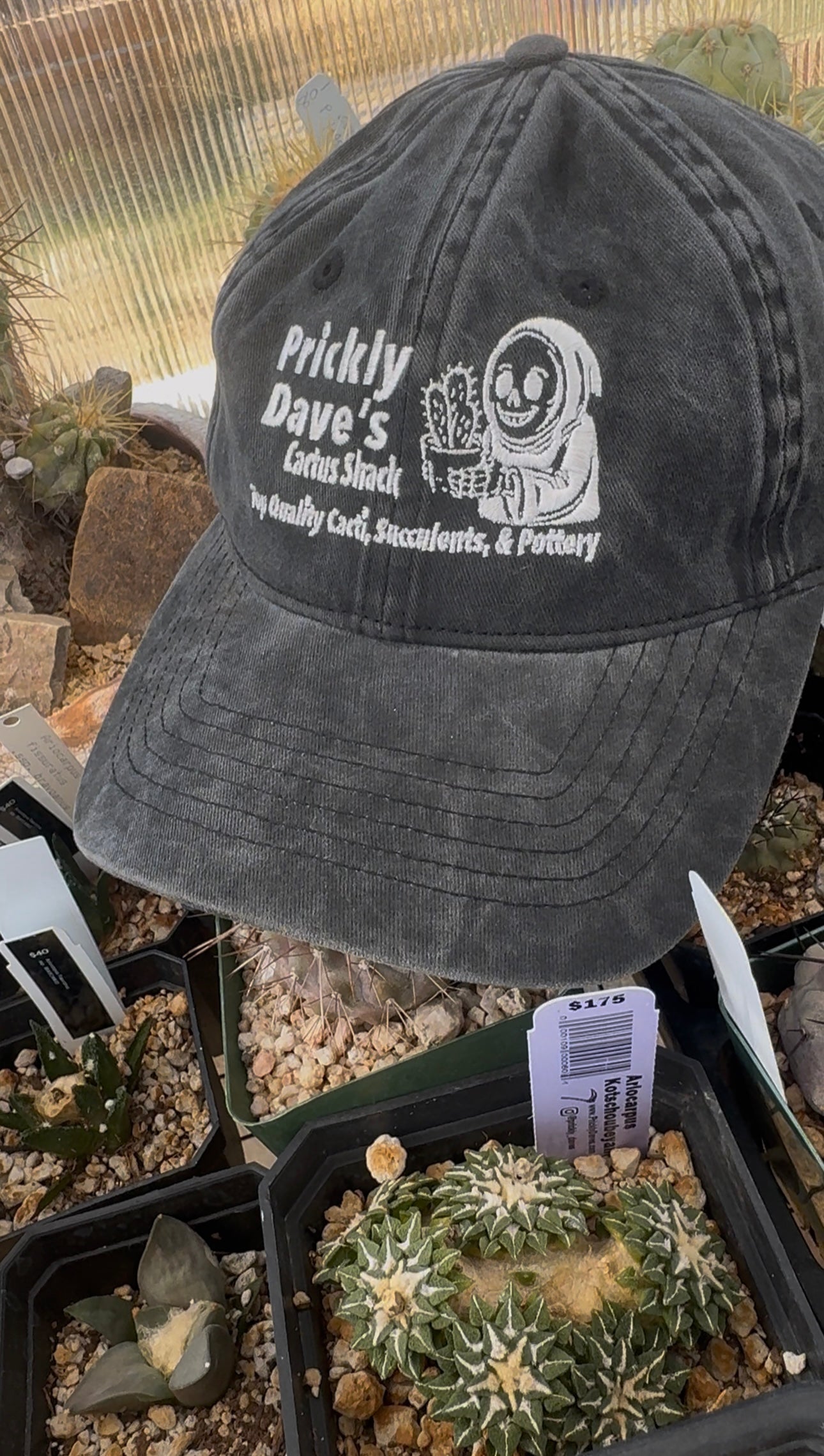 Prickly Dave’s Dad Hat