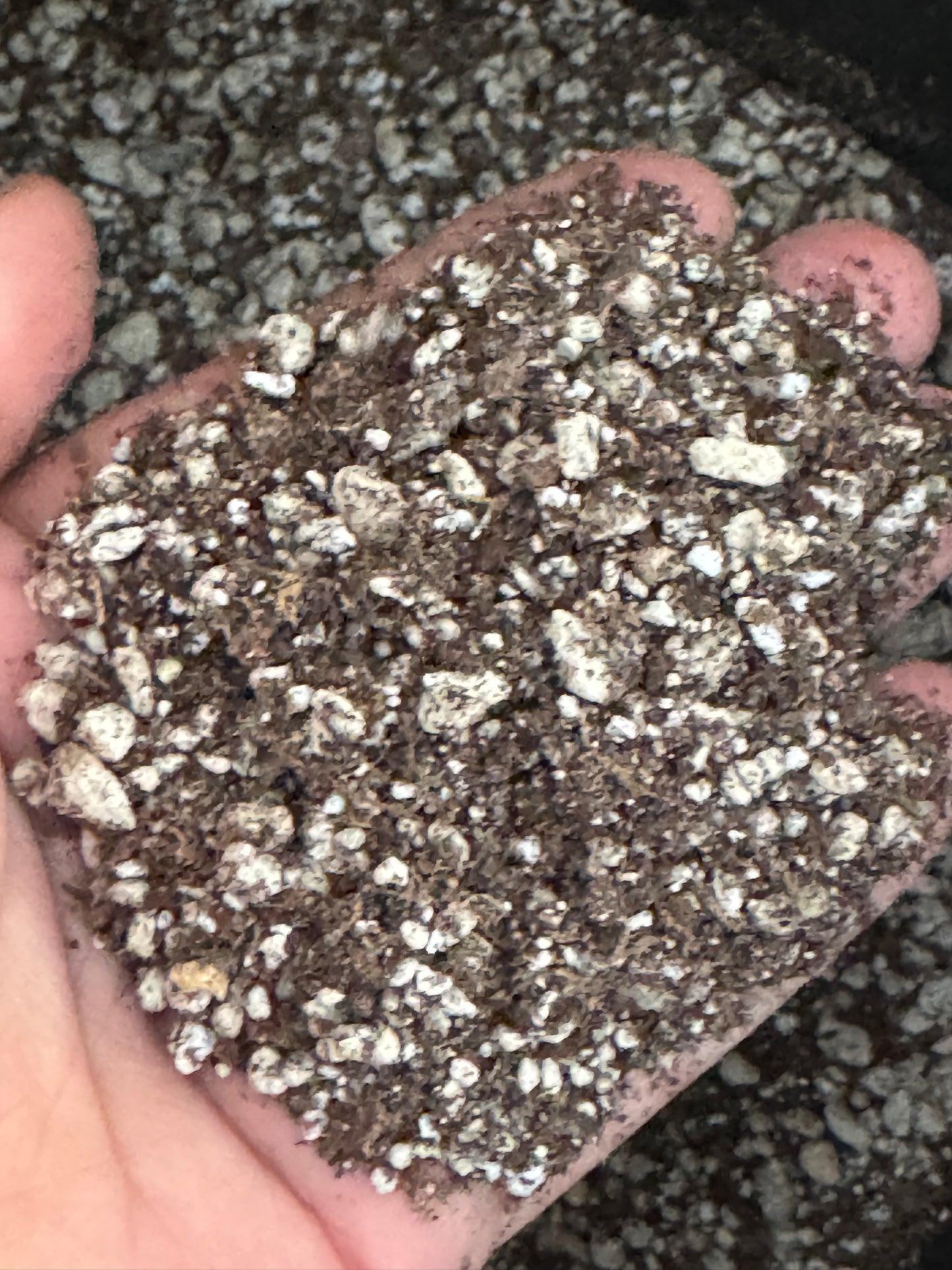 Dave’s Everyday Grower Mix