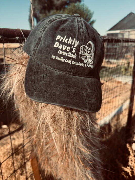 Prickly Dave’s Dad Hat