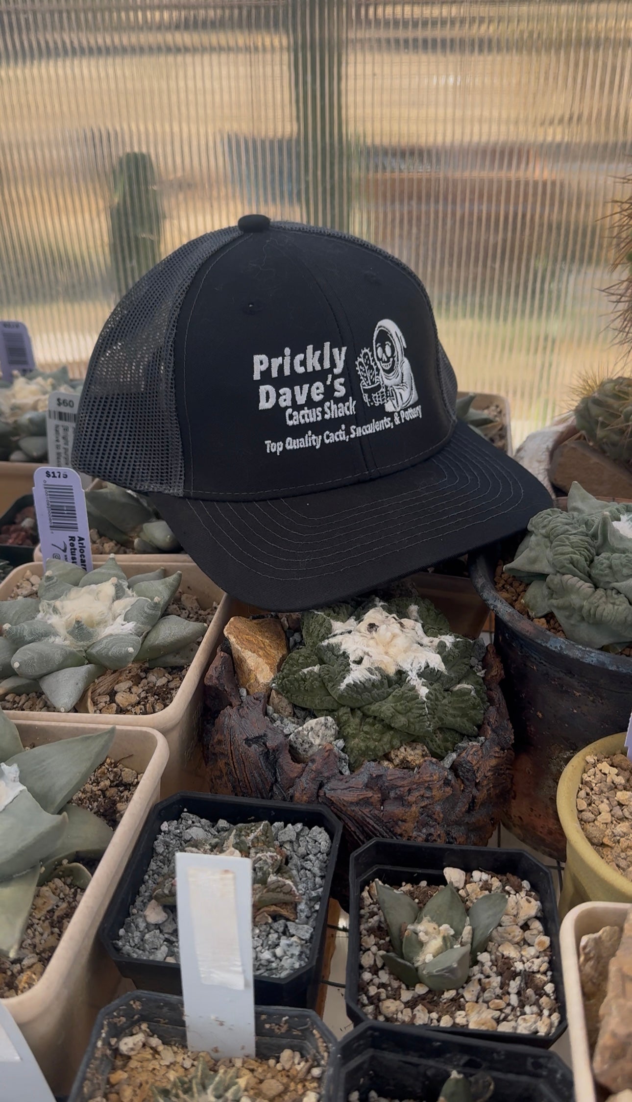 Prickly Dave’s Trucker Hat