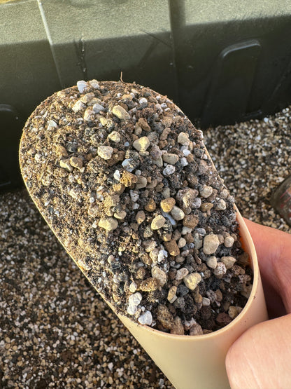 Desert Sediment 2.0